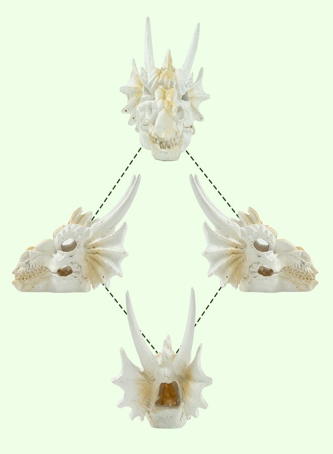 Swirge Dragon Skull Ornament for Aquarium Reptile Fish Tank Decorations Mini Betta Fish Tank Decor Accessories - Image 4